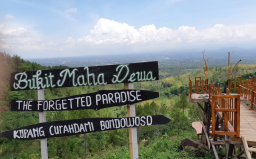 Bukit Mahadewa, Panorama Alam Menawan di Lereng Bondowoso