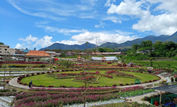 Kebun Refugia Magetan, Wisata Edukasi Bunga yang Menyegarkan Mata di Lereng Lawu Magetan