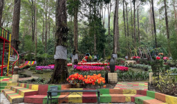Lawu Green Forest, Wisata Alam Sejuk di Jalur Sarangan–Cemoro Sewu Magetan
