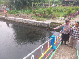 Jerit di Tepi Kolam, Remaja 16 Tahun Tewas Tenggelam di Sumber Pakel Lumajang