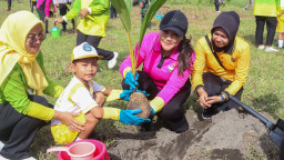 Aksi Hijau di Pesisir Selatan, Ratusan Kelapa Ditanam untuk Selamatkan Pantai Lumajang
