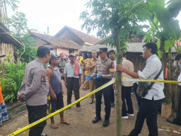 Berangkat ke Sawah, Kakek di Lumajang Malah Temukan Kuburan Bayi