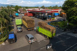 Panen Tebu Meningkat, Kebutuhan Biosolar di Lumajang Ikut Melonjak