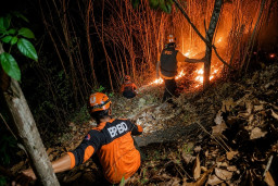 Gerak Cepat Tim Gabungan Jinakkan Kebakaran Hutan di Gunung Pucang Rangga, Dua Hektare Lahan Terbakar
