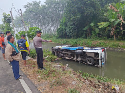 Diduga Hilang Kendali, Isuzu Elf Terjun ke Sungai di Yosowilangun, Sopir Selamat