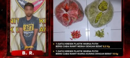 Curi 20 Kilogram Cabai di Pasar Klojen, Pemuda Lumajang Diduga Gunakan Hasilnya untuk Pesta Sabu