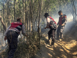 Lereng Semeru Terbakar, Polisi dan Petugas Gabungan Berjibaku Padamkan Api di Medan Terjal