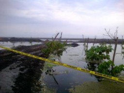 Inilah Kerusakan Pantai Watu Pecak Akibat Tambang Illegal di Desa Selok Awar-awar