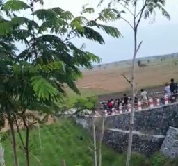 Video Viral Tawuran di  Barat Jembatan Selowangi JLS  Lumajang Beredar