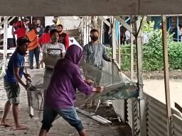 Konflik Tanah Warga Duko Wonorejo Berakhir Eksekusi Kejari Lumajang