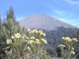 TNBTS Mulai Buka Pendaftaran Tiket Online Pendakian ke Gunung Semeru