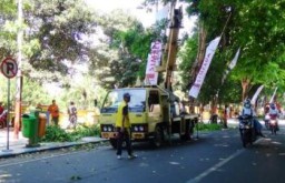 Membahayakan Manusia, DLH Potong Ranting Pohon Besar Di Alun-Alun