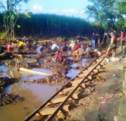 Digali Untuk Dicari Batu Akik Bulu Macannya, Kawasan Sukosari-Jatiroto Jadi Rawa