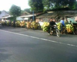 Banjir Kelapa Muda, Warga Minta Pemerintah Tak Berdiam Diri