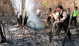 Polisi Selidiki Penyebab Kebakaran Hutan Semeru