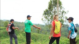 Kebun Teh Gucialit Jadi Pilihan Veneu Balap Sepeda Gunung Lumajang