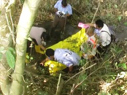 Penemuan Tegkorak Manusia Gemparkan Warga Denok, Lumajang