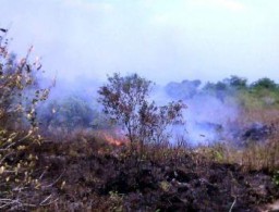 Kebakaran Hutan Terus Meluas, Aktifis, Warga, SAR dan Perhutani Lakukan Pemadaman