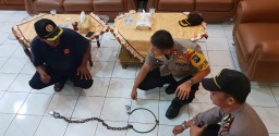 3 Langkah Pengamanan Sapi dari Maling oleh Polres Lumajang