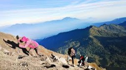 Tertimpa Batu Puncak Semeru, Seorang Pendaki Cantik Asal Sukabumi Meninggal