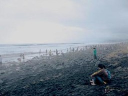 Hati-Hati Rek..!!! Pacaran di Hutan Jati Pantai Bambang, Rawan Jadi Korban Pemalakan