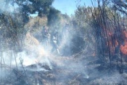 Jalur Pendakian Watu Rejeng Gunung Semeru Terbakar, Puluhan Pendaki Terjebak