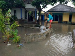 Hujan Deras, Puluhan Rumah di Desa Tukum dan KarangbendoTerendam