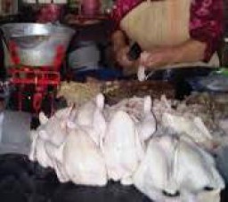 Menjelang Ramadhan; Harga Daging Ayam Potong Terus Melonjak