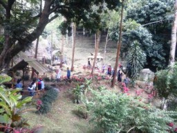 Kebun Teh Gucialit Juga Jadi Jujukan Wisatawan Saat Libur Hari Raya