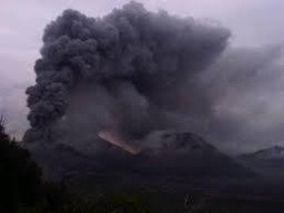 Hujan Abu Bromo Guyur Ranuyoso, Peternak Kesulitan Cari Pakan Sapi