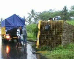 Jalan Licin, Truck Ayam Potong Terguling