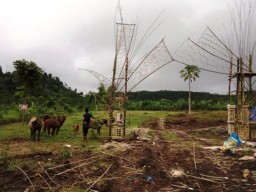 Ayo Hadiri...!! Louncing Geopark Gunung Lemongan dan Kenduri Pohon