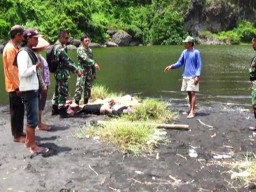 Pamit Mancing, Dua Pemuda Pronojiwo Ditemukan Tewas di Rawa Dusun Dampar