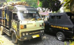 Hendak Diantar ke Padang, Palhutmob Tangkap Truck Angkut Kayu Hasil Pembalakan Liar