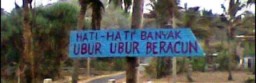 Ubur-ubur Pantai Selatan Lumajang Telan Korban