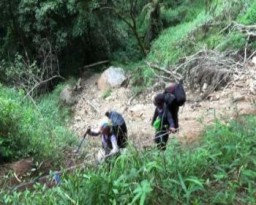 Hati-hati.....! Jalur Pendakian Semeru Longsor