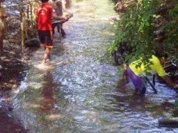 Akik Khas Lumajang Bulu Macan Semakin Mahal, Perburuan Semakin Menjadi-jadi