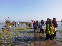 Tambang Illegal Pantai Watu Pecak, Banjir Roob Kerap Terjadi, Pertanian Rusak dan Ini Buktinya...!!!