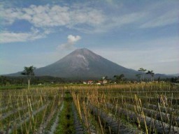 Hujan Deras, Kubah Lava Siap Meluncur Dari Bibir Gunung Semeru