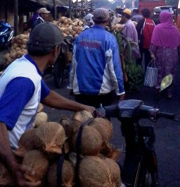 Pasar Buah Tradisional Ranuyoso Menjadi Terminal Kelapa Lumajang