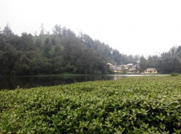 Kumbolo dan Semeru Jadi Rebutan, Malang Akan Bangun Rest Area, Lumajang Kapan ya...?