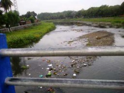 Sungai Asem Tercemar, Banyak Ikan Mati dan Berbau Menyengat