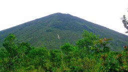 Kaki Terkilir Tak Kuat Turuni Gunung Lemongan, 3 Pendaki Dievakuasi TRC BPBD