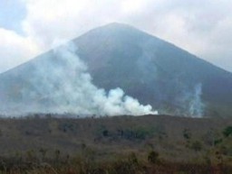 Data Laskar Hijau, 90 Persen Kebakaran Hutan Lemongan Unsur Kesengajaan