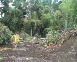 Sawah Ambles Keluarkan Sumber Air di Selatan Candi Agung Hebohkan Warga