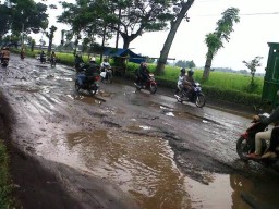 Warga Minta Perbaikan Jalan Tempeh-Lumajang, Pemerintah Hanya Siap Pasang Rambu