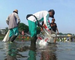 Geram Dengan Ceceran Sampah, Komunitas Greenriver Bersihkan Kali Asem