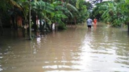 Hujan Deras Sore Hingga Malam, Pemukiman Wungurejo-Rowokangkung Terendam Banjir