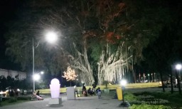 Dipasangi Air Mancur, Pohon Beringin Alun-Alun Lumajang Tak Angker Lagi