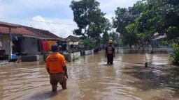 Sungai Avour Banter Meluap Banjiri 377 KK di Rowokangkung Lumajang